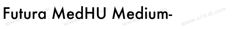 Futura MedHU Medium字体转换